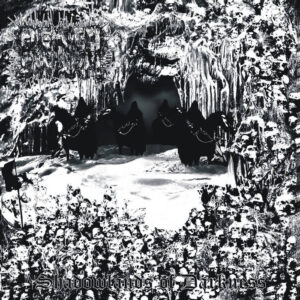 DEATHSWARM - Shadowlands in Darkness LP WHITE